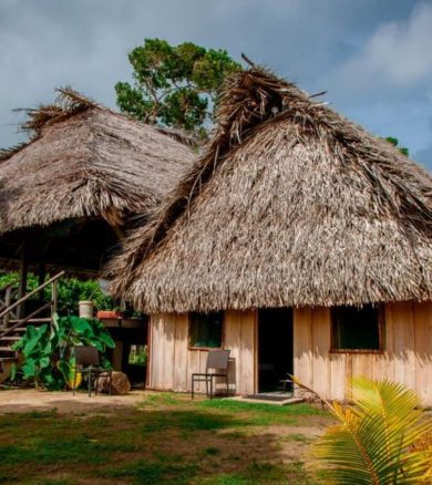 Thatch Houses