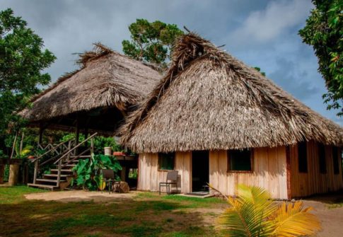 Thatch Houses