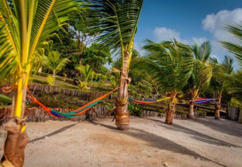 Waterfront Hammocks